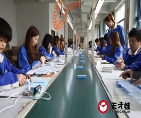 梅州胡巴機器人廠 免費咨詢